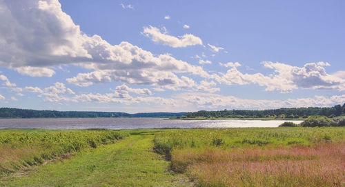 Scenic view of field against sky