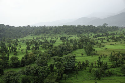 Scenic view of green landscape against sky