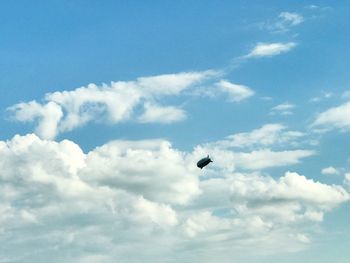 Low angle view of bird flying against sky