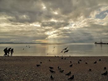 Group of people on beach against sky during sunset