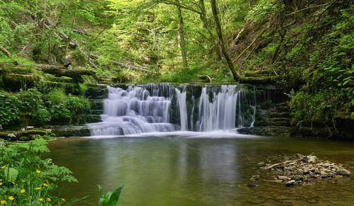 Scenic view of waterfall