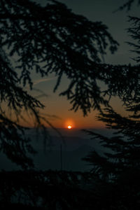 Silhouette tree against sky during sunset