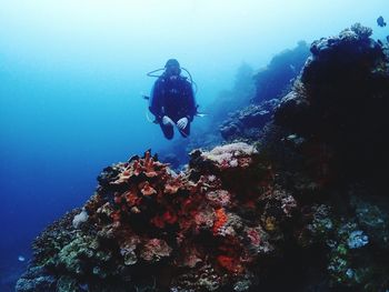 Scuba diver swimming undersea