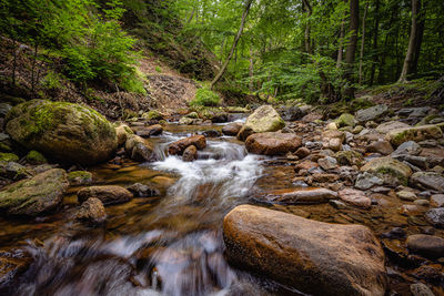 Stream flowing through rocks in forest