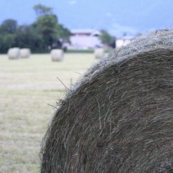 Close-up of hay bales on field against sky