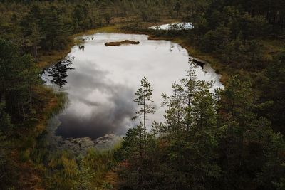 High angle view of lake amidst trees in forest