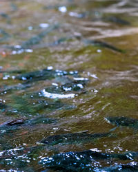 Full frame shot of water