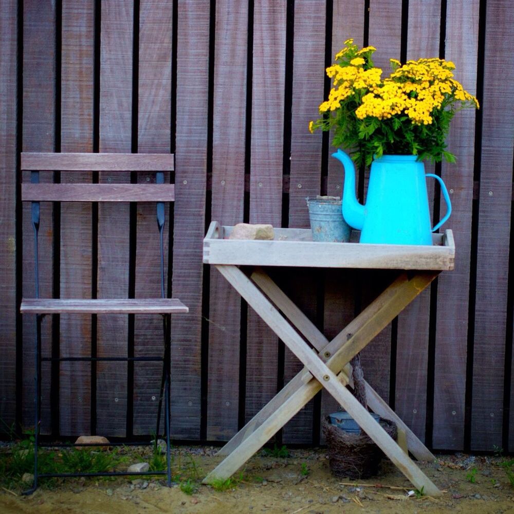 flower, yellow, plant, growth, day, wood - material, outdoors, wall - building feature, text, no people, closed, western script, wooden, built structure, fence, building exterior, nature, leaf, potted plant, architecture