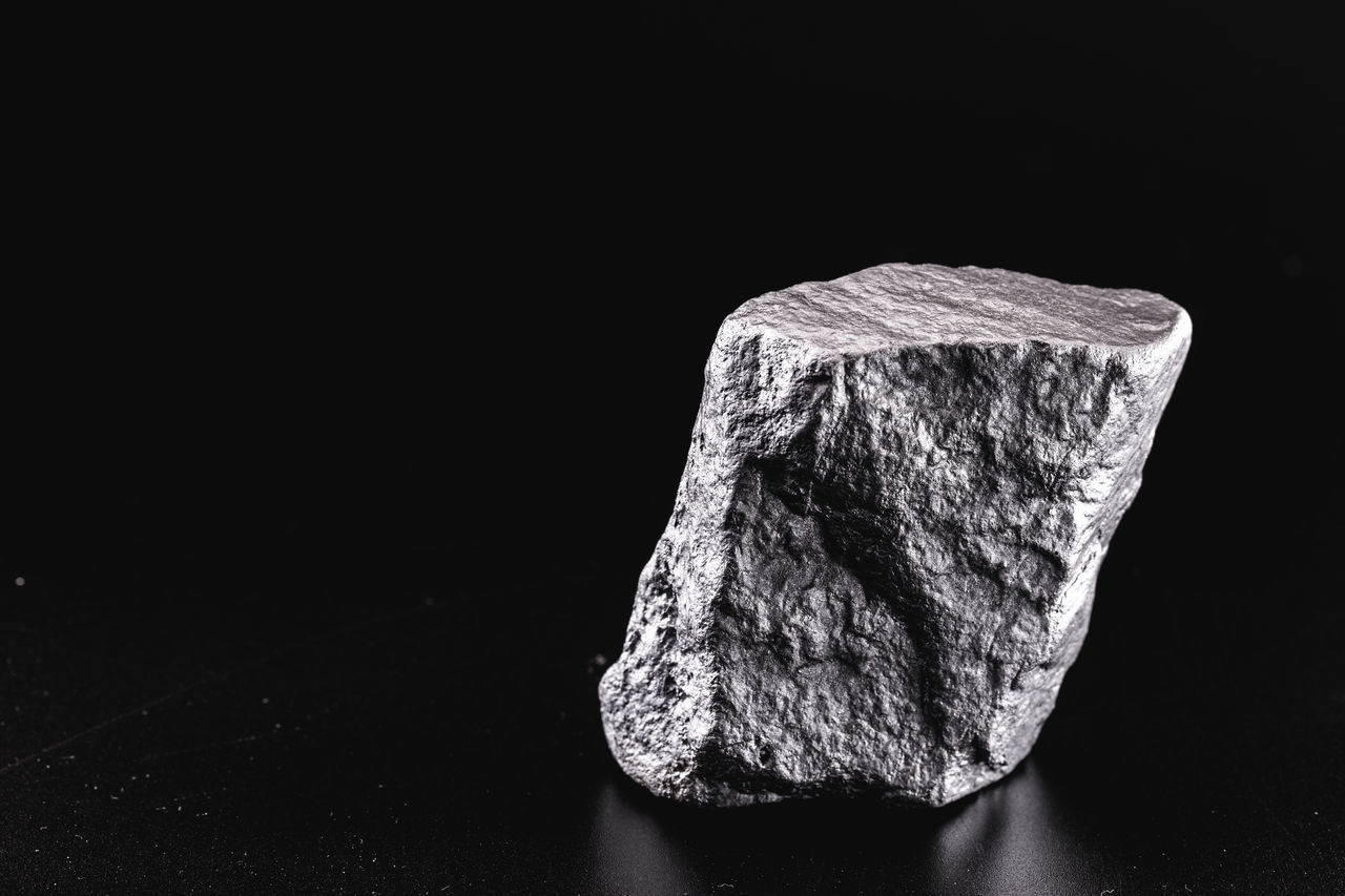 CLOSE-UP OF LEAF ON ROCK