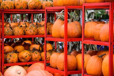 View of pumpkins in market stall