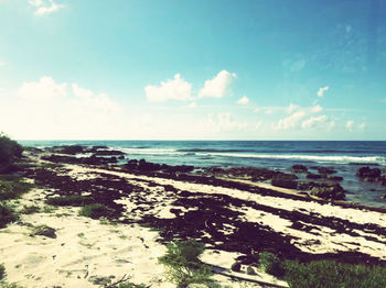 Scenic view of beach against sky