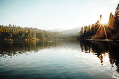 Scenic view of lake in forest against sky