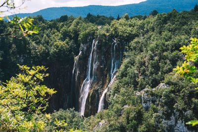 Scenic view of waterfall in forest