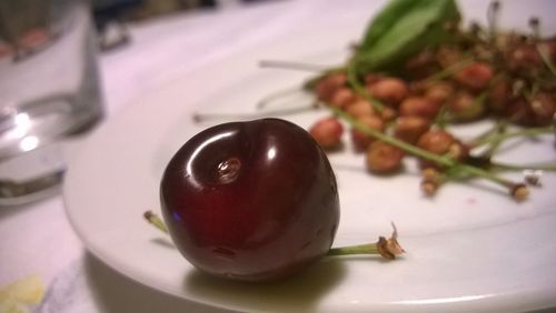 Close-up of food on plate
