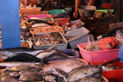 Fish for sale at market stall