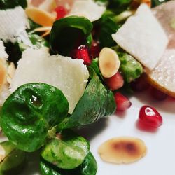 Close-up of salad in plate