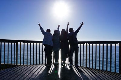 Rear view of friends with arms raised standing in front of sea