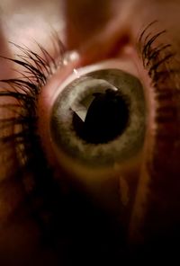 Close-up of human eye