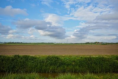 Scenic view of agricultural field against sky