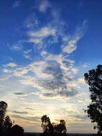 Low angle view of silhouette trees against sky during sunset