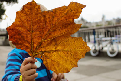 Close-up of man holding autumn leaf