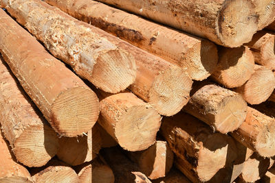 Full frame shot of logs in forest