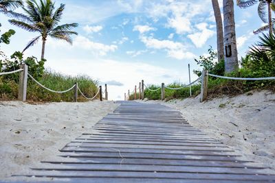 Footpath leading towards palm trees on beach