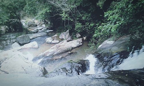 Stream flowing through rocks