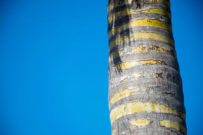 Low angle view of tree against blue sky