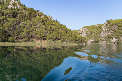 Scenic view of lake and trees against clear sky