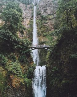 High angle view of waterfall in forest