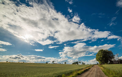 Scenic view of agricultural field against sky