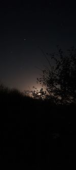 Silhouette plants and trees on field against sky at night