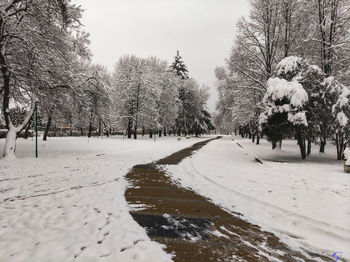 Trees on snow covered field against sky