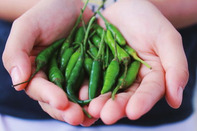 Midsection of woman holding chili peppers