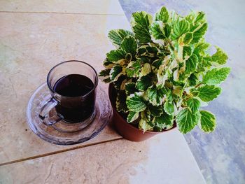 High angle view of drink on table