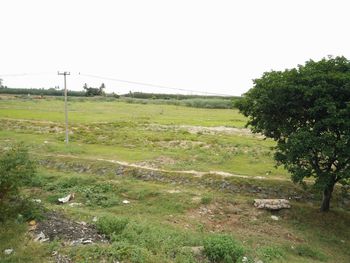 Scenic view of landscape against clear sky