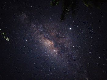 Low angle view of star field against sky at night