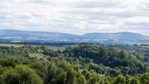 Scenic view of forest against sky