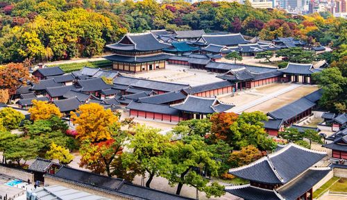 High angle view of trees and buildings in city