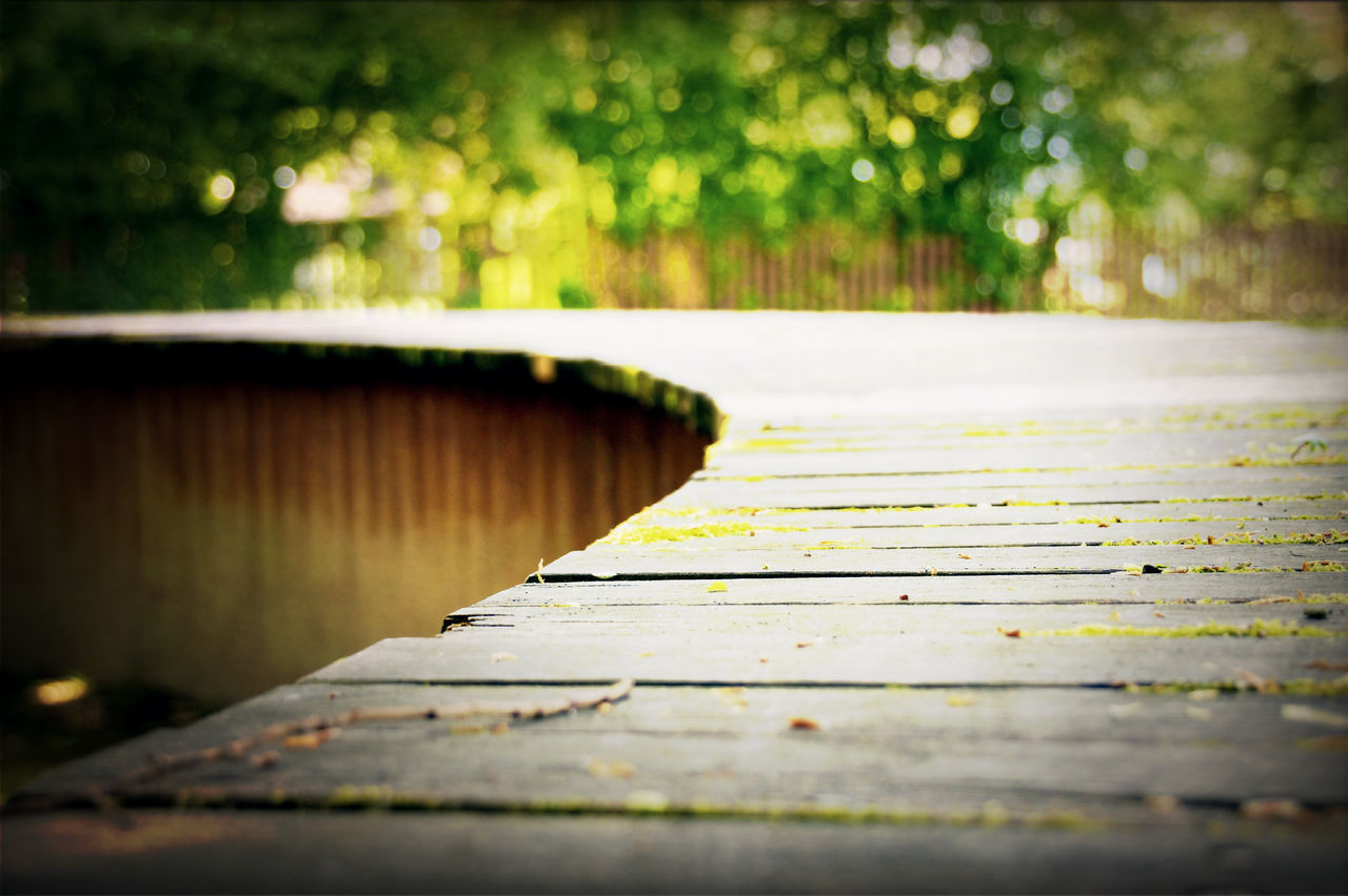 selective focus, the way forward, wood - material, surface level, wooden, boardwalk, railing, focus on foreground, plank, wood, tree, outdoors, no people, close-up, day, nature, diminishing perspective, built structure, textured, sunlight