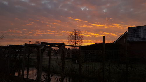 Silhouette trees against sky during sunset