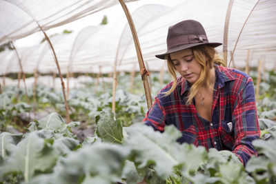 Young farmer wearing hat working in vegetable farm