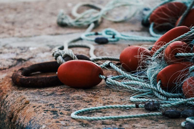 Close-up of fruits on rope