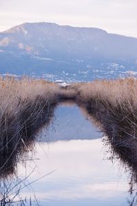 Scenic view of lake against sky during winter