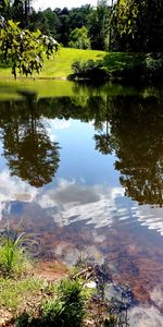 Reflection of trees in lake against sky