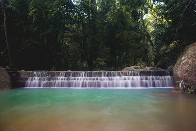 Scenic view of waterfall against trees