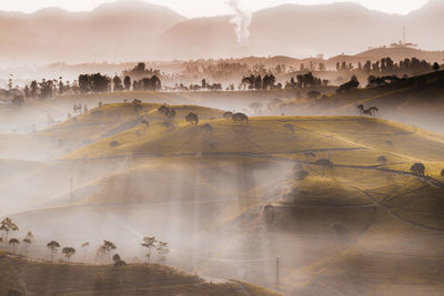 Landscape against mountain during foggy weather