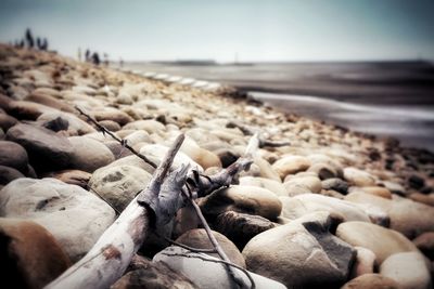 Surface level of pebble beach