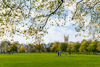 View of park in city